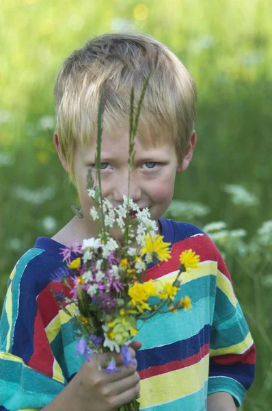 Летний Мальчик Собирает Цветы — стоковое фото