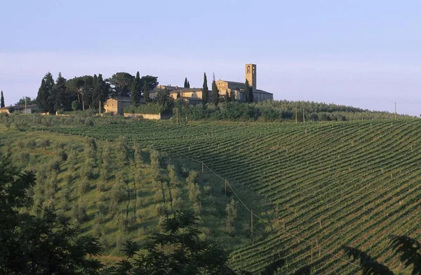 Monte Oliveto Cerca San Gimignano Toscana Italia — Foto de Stock