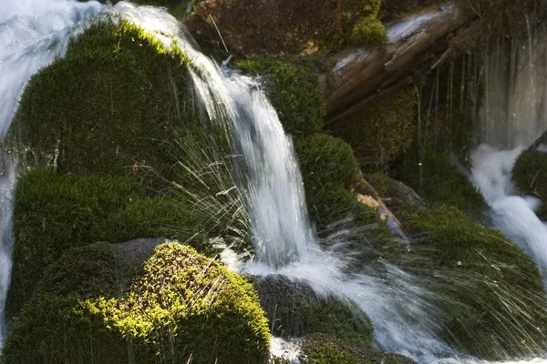 Flowing Small Brook Тироль Австрия — стоковое фото