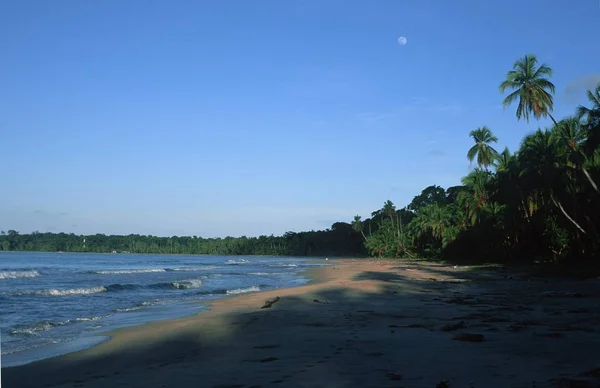 Manzanillo Karaiby Kostaryka — Zdjęcie stockowe