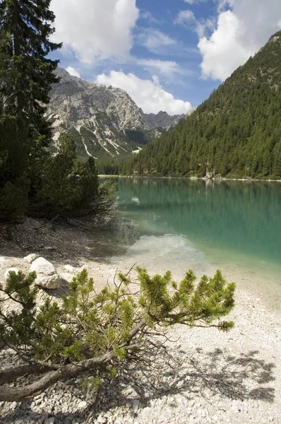 Den Pragser Sjön Lago Braies Pusterdalen South Tyrol Suedtirol Italien — Stockfoto