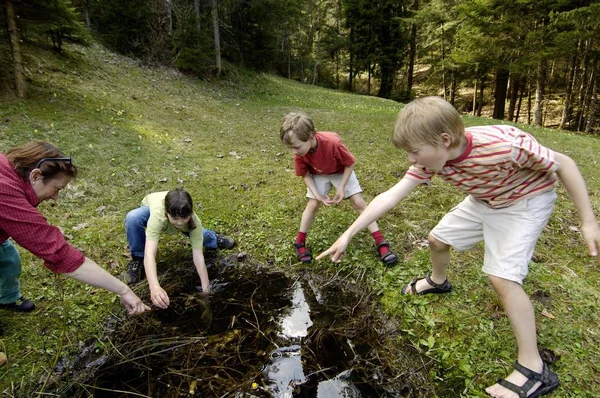 Crianças Uma Pequena Lagoa Querem Pegar Sapo Baviera Alemanha — Fotografia de Stock