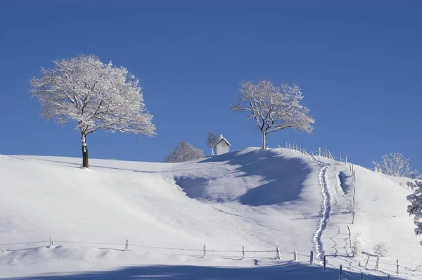 Зимний Пейзаж Вблизи Айдлинга Ригзее Верхней Баварии — стоковое фото