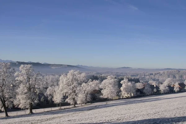 Nézd Meg Hohen Peienberg Peissenberg — Stock Fotó