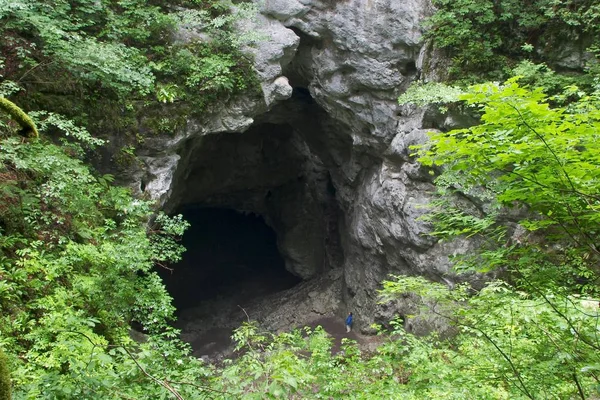Jeskyně Zelse Zelske Jame Rakov Škocjan Slovinsko — Stock fotografie