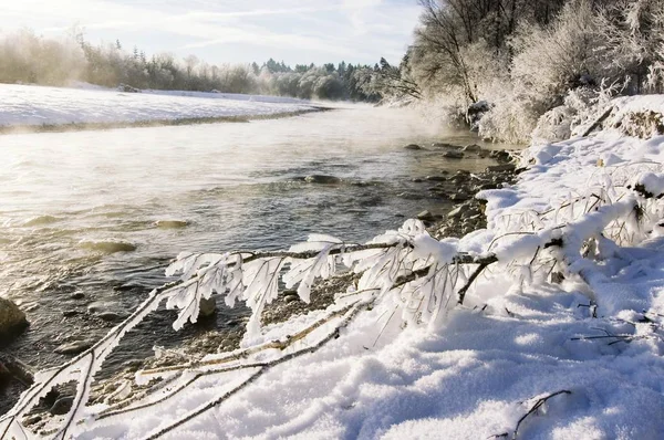 Glazed frost hoar frost at the river Isar near Wolfratshausen Upper Bavaria Germany