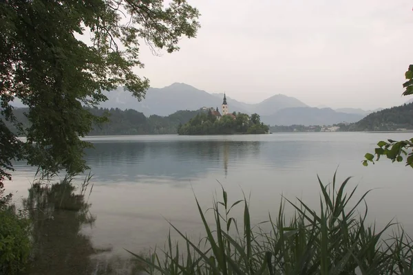 Lago Bled Con Isla Otok Eslovenia Lago Glaciar Extremo Noroeste — Foto de Stock