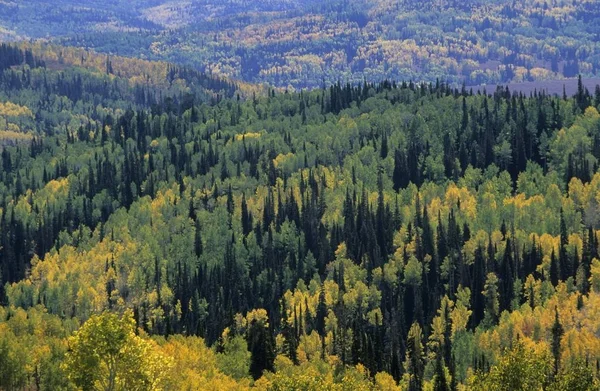 États Unis Utah Wasatch Range Skyline Drive — Photo