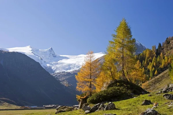 Parque Nacional Hohe Tauern Gschlss Montanhas Venediger Tirol Oriental Áustria — Fotografia de Stock