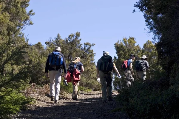 Touristes Randonneurs Dans Parc National — Photo