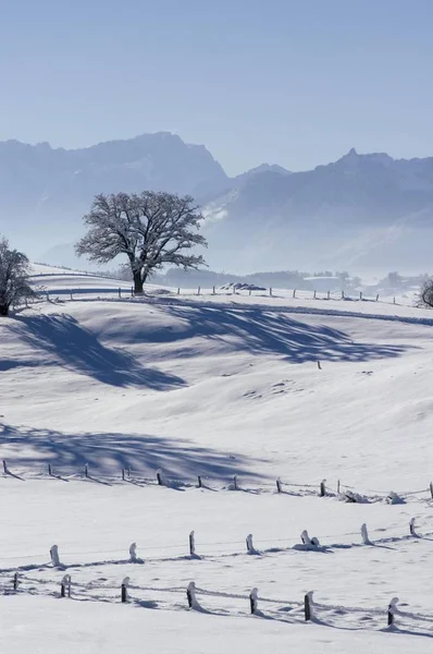 Paisagem Inverno Perto Aidling Riegsee Alta Baviera Alemanha — Fotografia de Stock