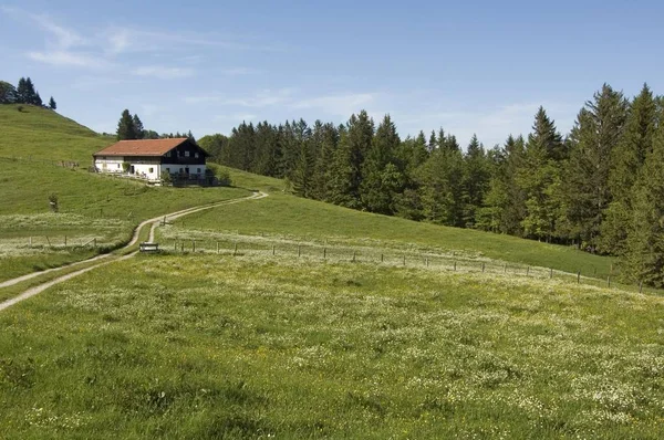 Alm Moier Entre Grassau Rottau Chiemgau Caminho Grossstaffen Fahrnpoint Baviera — Fotografia de Stock