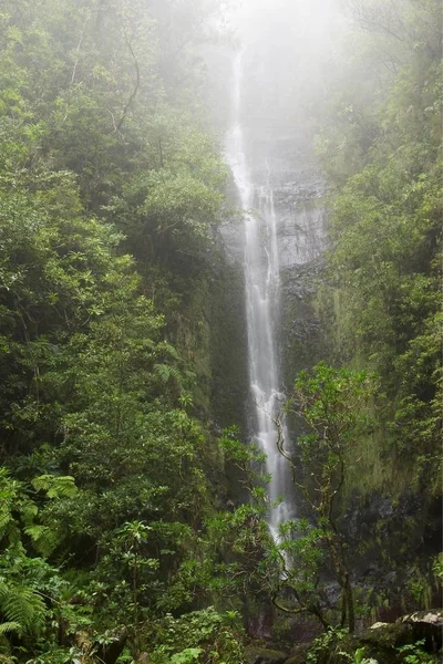 Vodopád Levadě Norte Madeira — Stock fotografie
