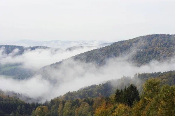 バヴァリアの森ドイツの霧の漂う — ストック写真