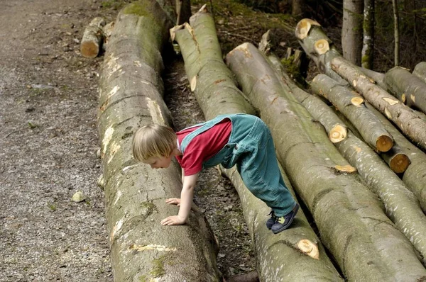 Treårig Flicka Klättrar Klippta Trädstammar — Stockfoto