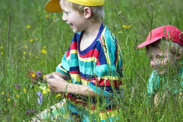 Dois Garotinhos Irmãos Anos Brincando Prado Flores Colhendo Flores — Fotografia de Stock