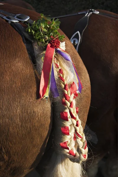 Saint Leonhard Horse Parade Benediktbeuern Upper Bavaria — Stock Photo, Image