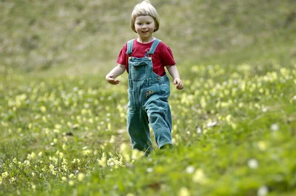 Одна Трехлетняя Девочка Цветочном Лугу Весной — стоковое фото