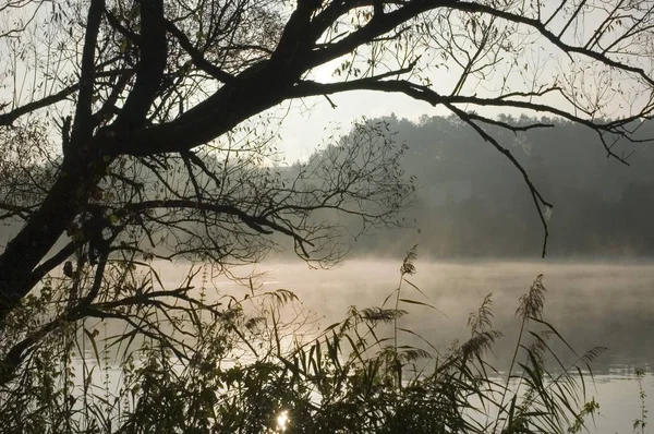Река Дунай Утреннем Тумане Недалеко Района Виндорф Пассау Lwoer Бавария — стоковое фото