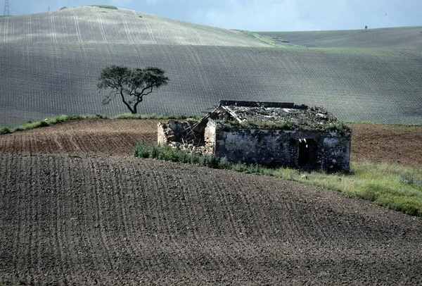 Andalusia Province Sevilla Spain — Stock Photo, Image