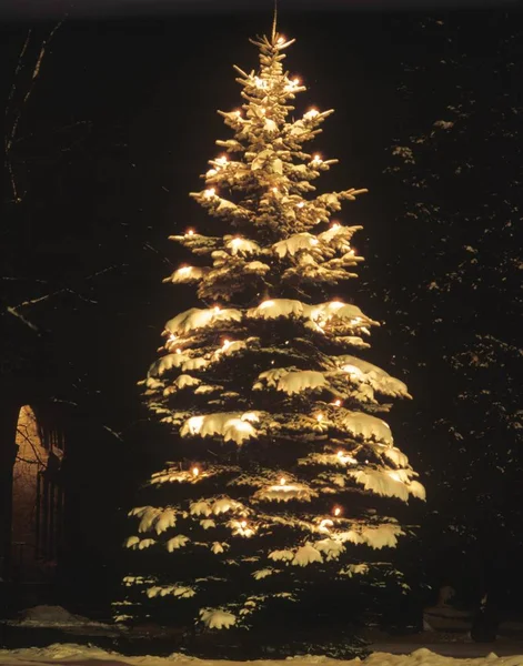 Árvore Natal Iluminada Neve Noite — Fotografia de Stock