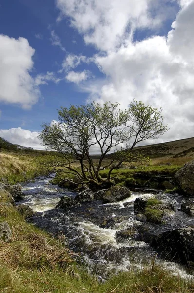 Dart Ποταμός Κοντά Whistmans Ξύλο Dartmoor Εθνικό Πάρκο Ντέβον Της — Φωτογραφία Αρχείου