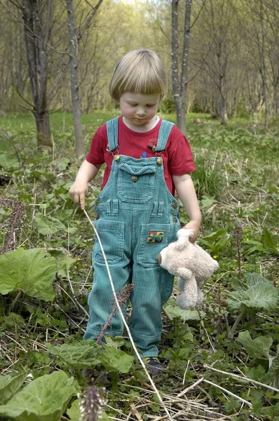 Трехлетняя Девочка Плюшевым Мишкой Природе — стоковое фото