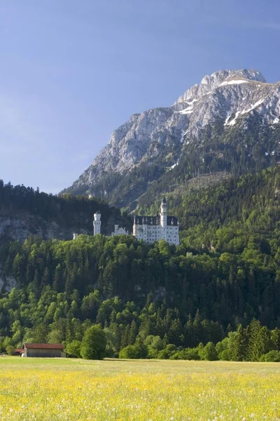 View Castle Neuschwanstein Germany — Stock Photo, Image