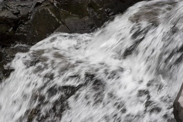 Stream Gomera Îles Canaries — Photo