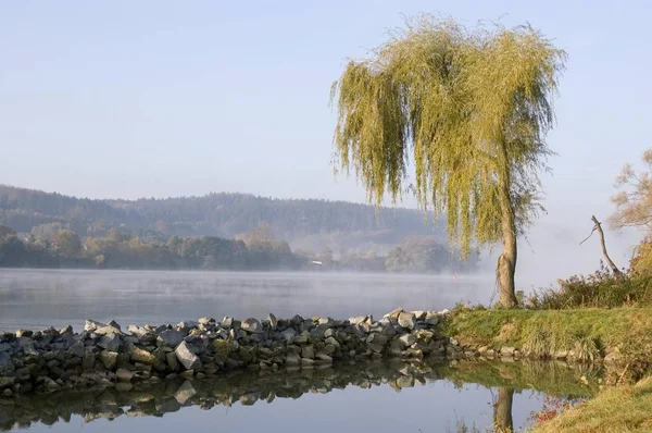 Gaishofen Nära Passau Lägre Bayern Tyskland Träd Hösten Förutom Floden — Stockfoto