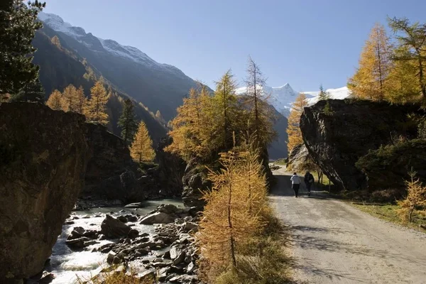 Pessoas Caminhando Caminho Parque Nacional Hohe Tauern Gschlss East Tyrol — Fotografia de Stock