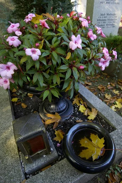 Grab Auf Dem Ostfriedhof München — Stockfoto