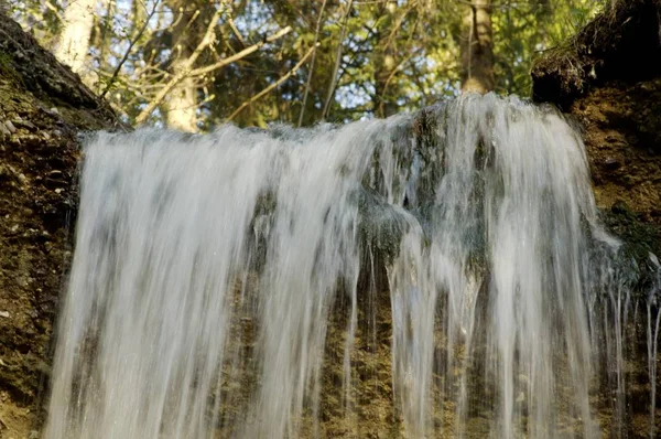 Cachoeira Floresta Verão — Fotografia de Stock