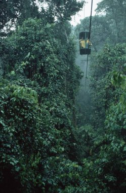 D Perry - rainforest aerial tram Costa Rica clipart