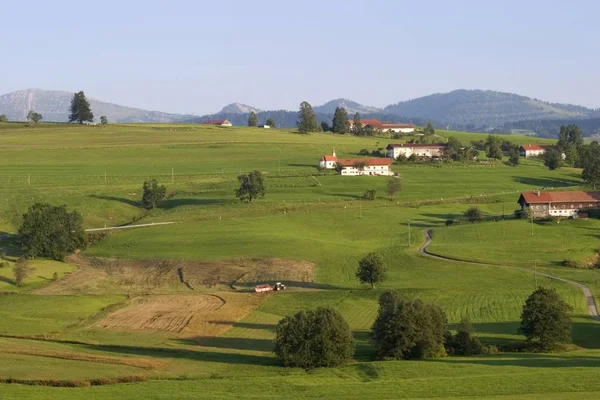 Zelená Tráva Krajina Laufenegg Oberstaufen Allgu Německo — Stock fotografie