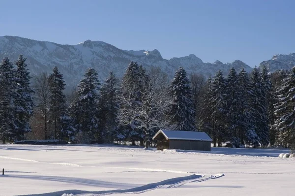 Capela Paisagem Inverno Perto Wackerberg Bad Toelz Alta Baviera Alemanha — Fotografia de Stock