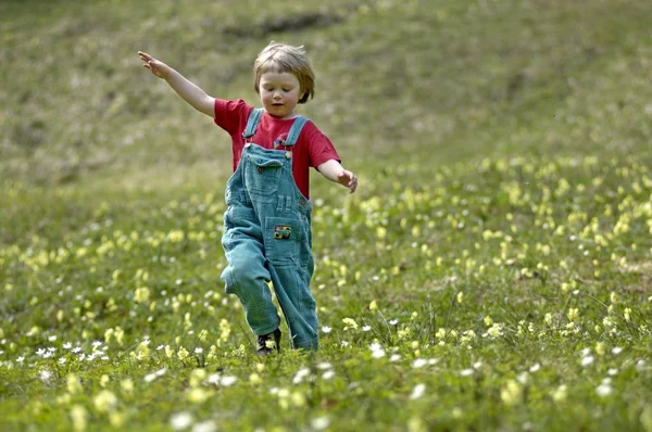 Одна Трехлетняя Девочка Бегущая Лугу Весной — стоковое фото