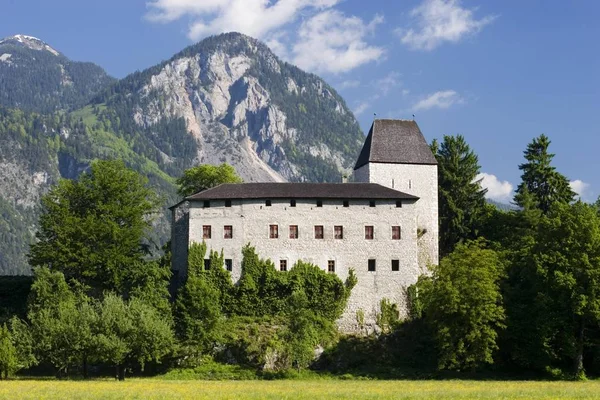 Castle Lichtwarth Mnster Tyrol Austria — Stock Photo, Image