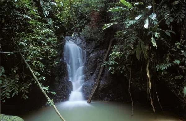 Vodopád Deštný Prales Národní Park Guatopo Mirandě Venezuela — Stock fotografie