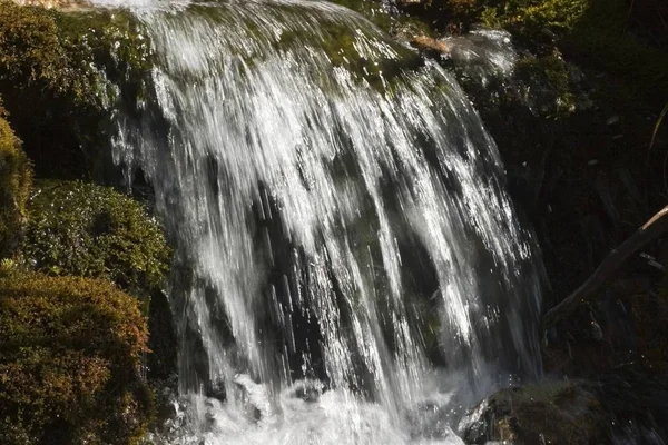 Närbild Flödande Brook Tyrolen Österrike — Stockfoto