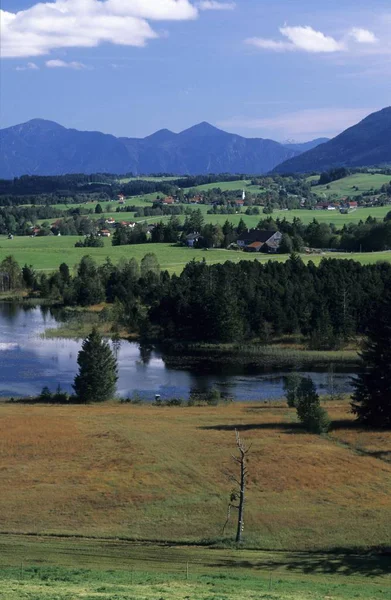 Lago Schwaigsee Bayersoien Germania — Foto Stock