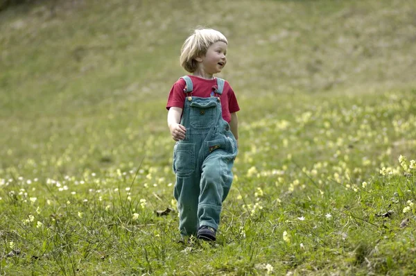 Une Fillette Trois Ans Qui Court Dans Pré Fleuri Printemps — Photo