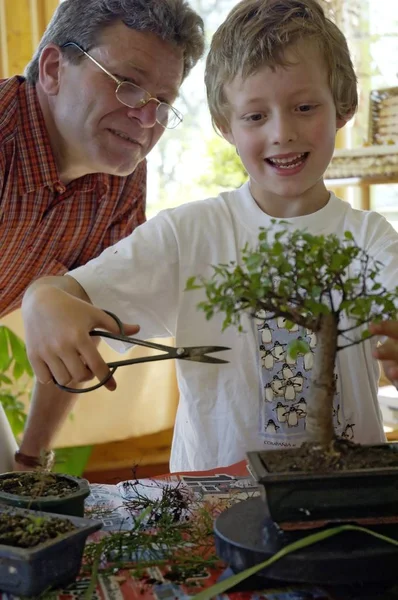 Mann Weist Jungen Wie Man Den Baum Schneidet — Stockfoto