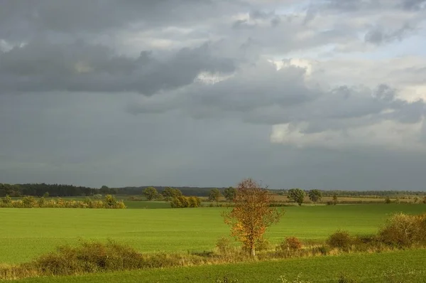 Naturpark Lauenburg Lauenburgische Seenplatte Schaalsee Lake Schaal Fields Dargow West — Stock Photo, Image