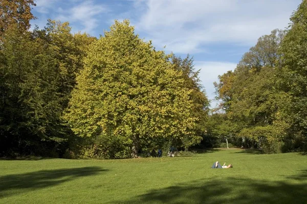 Frau Liegt Gras Zwischen Herbstlichen Bäumen Einem Park München — Stockfoto