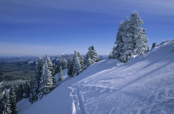 Laberberg Montagna Vicino Oberammergau Alta Baviera Germania — Foto Stock