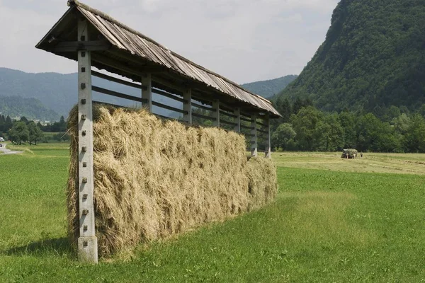 Széna Stara Fuzina Triglav Nemzeti Park Szlovénia — Stock Fotó