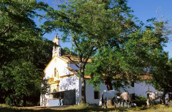 Παρεκκλήσι Aljar Sierra Aracena Επαρχία Ανδαλουσίας Huelva Ισπανία Ermita Ντε — Φωτογραφία Αρχείου