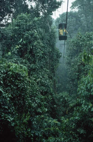 Perry Tranvía Aéreo Selva Tropical Costa Rica — Foto de Stock