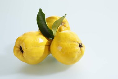 Three quinces (Cydonia oblonga) with leaves clipart